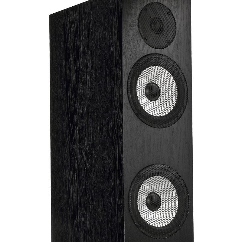 Pylon Audio Ruby 25 mkll - cecha 2